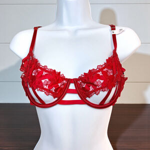 Victoria's Secret Very Sexy Red Lace Cage Bra 36B, NEW WITH TAGS